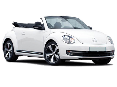 beetle